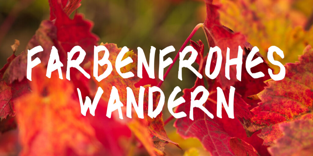 Bild: Tourist Info VG Sprendlingen-Gensingen